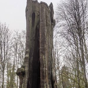 Meet your Posher, Monika